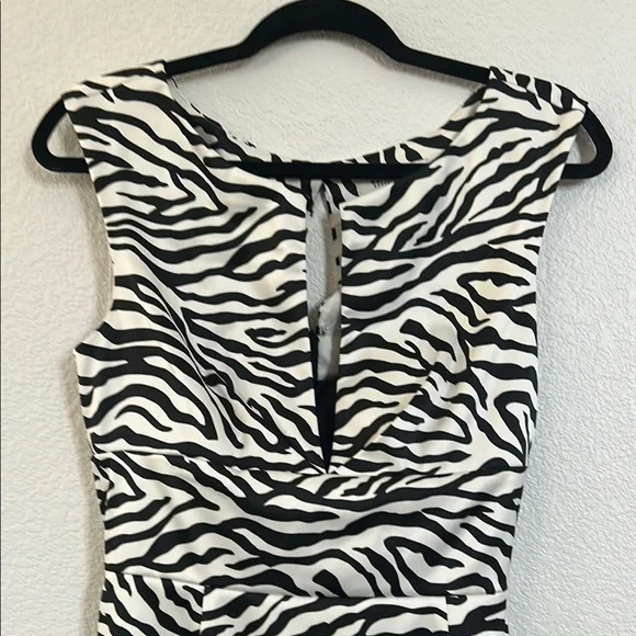 Zebra Print Sleeveless Dress - Picture 3 of 7